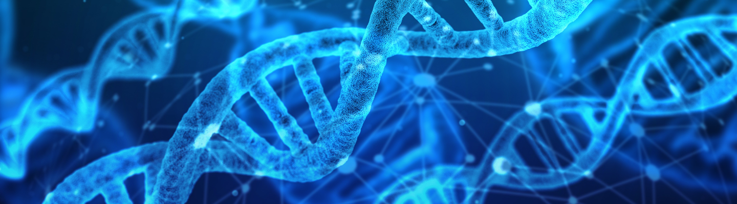 AMHA - DNA Testing Services